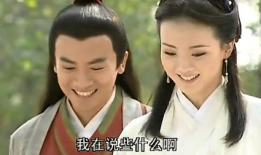 苏有朋的电视剧,苏有朋演绎的“五阿哥”传奇