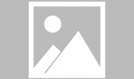 日本后宫恋爱动漫,日本动漫中的浪漫角逐与情感纠葛